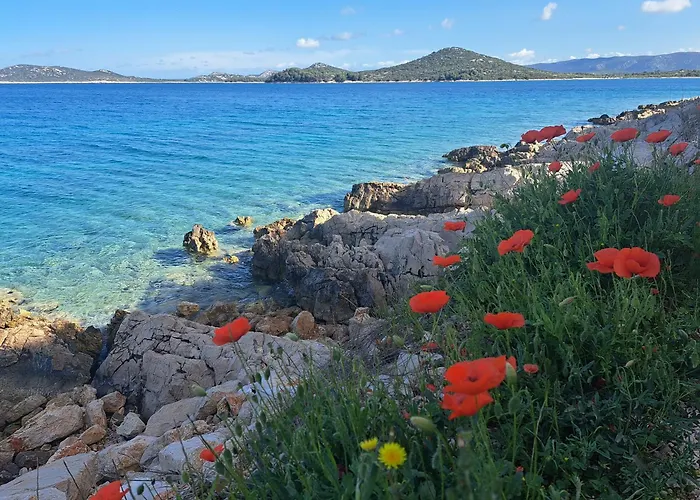 Sunny House Vakantiehuis *