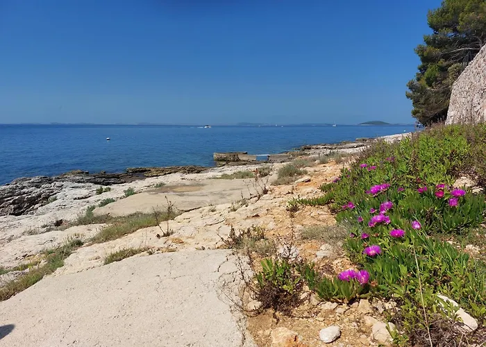 度假居 Sunny House