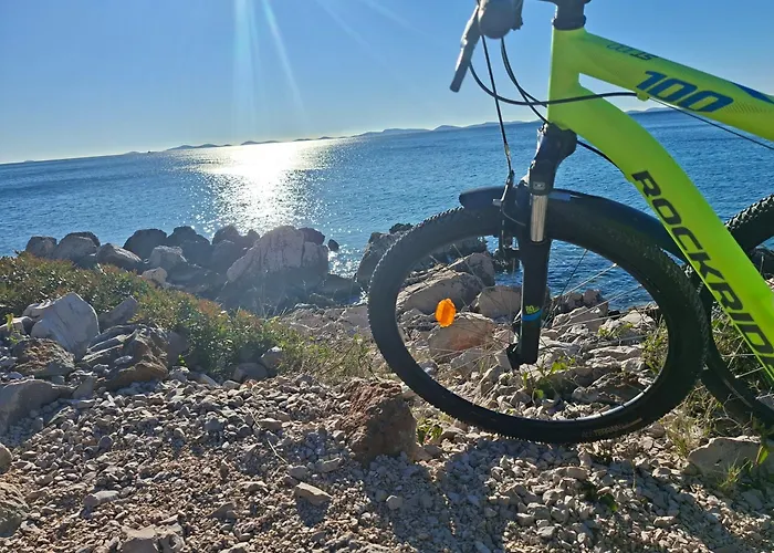 Sunny House Vakantiehuis