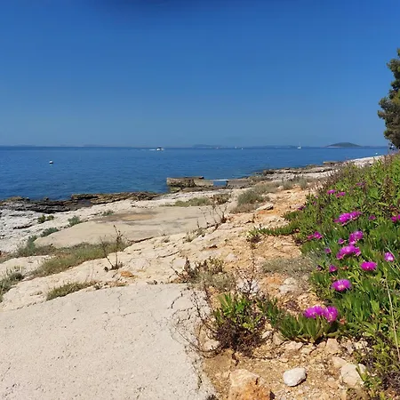 Tatil Evi Sunny House