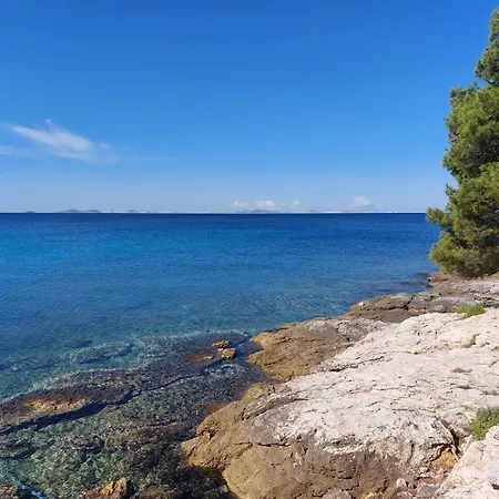 Sunny House Tatil Evi